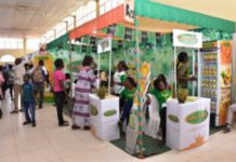 SIAO 2018: Dafani donne le « goût du naturel » à la fête de l’artisanat