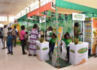 SIAO 2018: Dafani donne le « goût du naturel » à la fête de l’artisanat