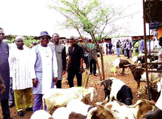 5e Foire Tabaski: des ruminants pour toutes les bourses