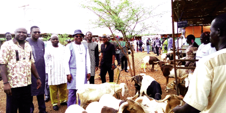 5e Foire Tabaski: des ruminants pour toutes les bourses