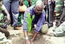 Journée nationale de l’arbre : 598 000 plants pour restaurer la Boucle du Mouhoun