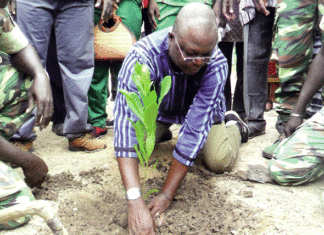 Journée nationale de l’arbre : 598 000 plants pour restaurer la Boucle du Mouhoun