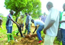 Centre agroécologique: 500 plants mis en terre et 1000 autres distribués