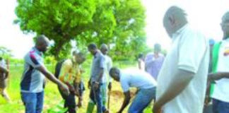 Centre agroécologique: 500 plants mis en terre et 1000 autres distribués