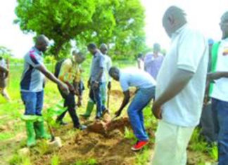 Centre agroécologique: 500 plants mis en terre et 1000 autres distribués