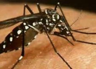 Communication sur la dengue a l’attention de la population