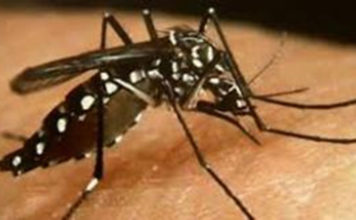 Communication sur la dengue a l’attention de la population