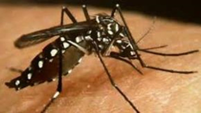 Communication sur la dengue a l’attention de la population