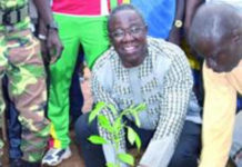 Projet aéroportuaire de Donsin : Le bosquet de Kourityaoghin reverdi