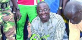 Projet aéroportuaire de Donsin : Le bosquet de Kourityaoghin reverdi