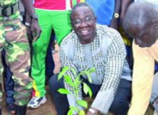 Projet aéroportuaire de Donsin : Le bosquet de Kourityaoghin reverdi