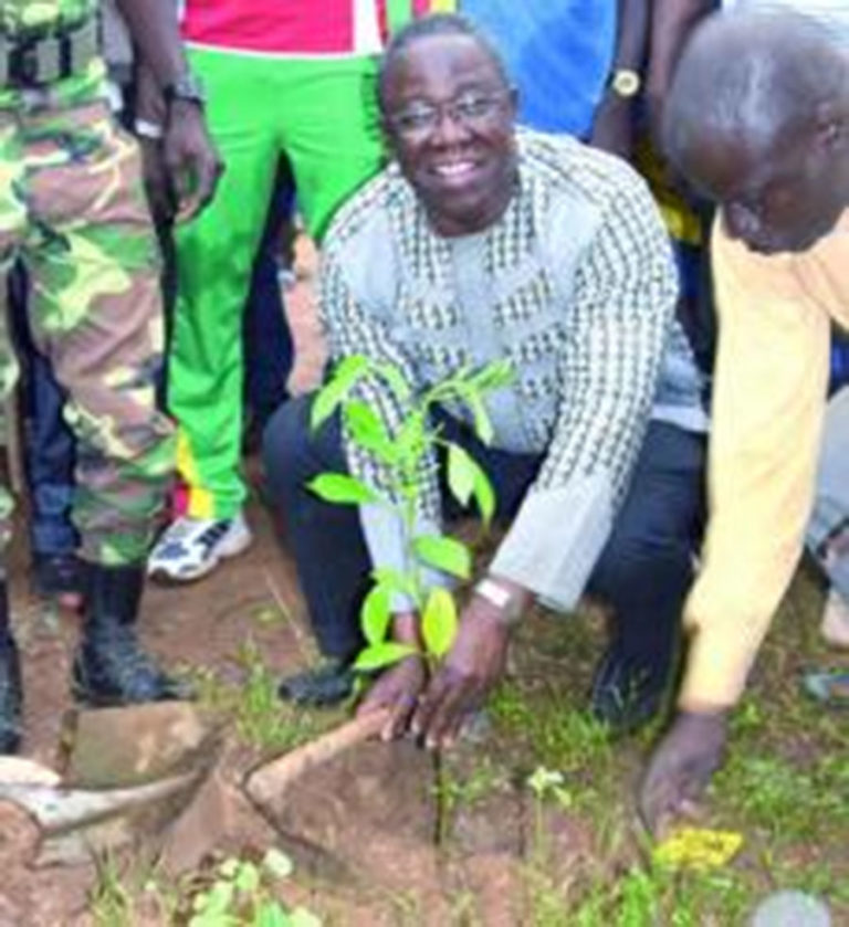 Projet aéroportuaire de Donsin : Le bosquet de Kourityaoghin reverdi