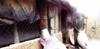 Entrepreneuriat féminin: ces amazones du développement rural