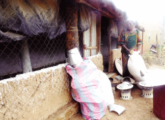 Entrepreneuriat féminin: ces amazones du développement rural