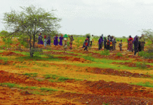 Récupération de terres dégradées dans le Séno