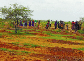 Récupération de terres dégradées dans le Séno
