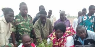 JNA 2019 au Nord : les populations invitées à planter utile pour les générations futures