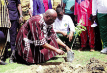 Journée nationale de l’arbre : Pour “faire pousser” l’écocitoyenneté