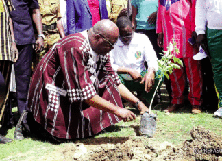 Journée nationale de l’arbre : Pour “faire pousser” l’écocitoyenneté