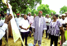 Campagne agricole 2019-2020: de bonnes récoltes en perspective