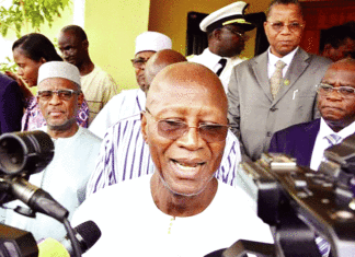 Protection des plans agricoles: Le CILSS veut bouter les chenilles hors des champs