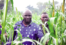 Campagne agricole humide au Centre-nord : Le ministre Salifou Ouédraogo salue la résilience des producteurs