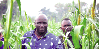 Campagne agricole humide au Centre-nord : Le ministre Salifou Ouédraogo salue la résilience des producteurs