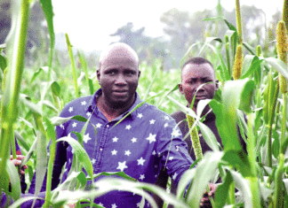 Campagne agricole humide au Centre-nord : Le ministre Salifou Ouédraogo salue la résilience des producteurs