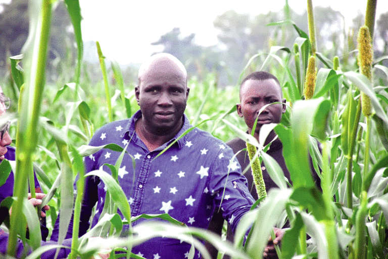 Campagne agricole humide au Centre-nord : Le ministre Salifou Ouédraogo salue  la résilience des producteurs