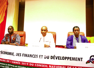 Conseil national de la statistique: La 5e enquête démographique et de santé prévue pour 2020