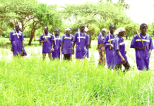 Campagne agricole humide 2019-2020