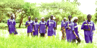 Campagne agricole humide 2019-2020