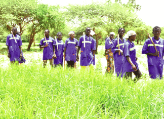 Campagne agricole humide 2019-2020