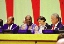 Insécurité au Burkina : Autopsie à l’ONU