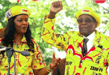 Mugabe : Héros ou zéro ?