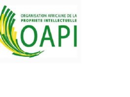 20ème JATPI : le message du ministre du Commerce, de l’Industrie et de l’Artisanat