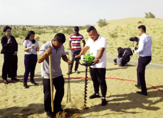 Mongolie intérieure Le désert de Kubuqi transformé en oasis