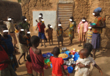 Sécurité alimentaire au Burkina Faso: « Limitons nos naissances sinon, nous n’aurons même plus de terres pour cultiver », l’économiste, Dr Issa Kobyagda