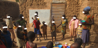 Sécurité alimentaire au Burkina Faso: « Limitons nos naissances sinon, nous n’aurons même plus de terres pour cultiver », l’économiste, Dr Issa Kobyagda