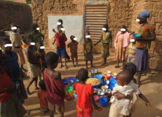 Sécurité alimentaire au Burkina Faso: « Limitons nos naissances sinon, nous n’aurons même plus de terres pour cultiver », l’économiste, Dr Issa Kobyagda