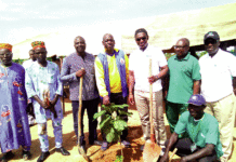 Ceinture verte de Ouagadougou La BICIAB met en terre 500 plants