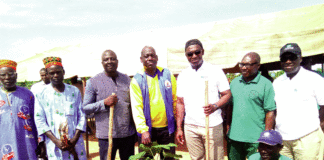 Ceinture verte de Ouagadougou La BICIAB met en terre 500 plants