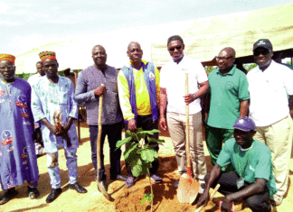 Ceinture verte de Ouagadougou La BICIAB met en terre 500 plants