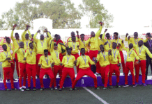 Les Etalons couronnés d’or