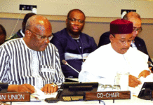 Commission climat pour la région du Sahel: Mobiliser les partenaires autour du plan d’investissement