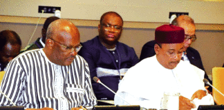 Commission climat pour la région du Sahel: Mobiliser les partenaires autour du plan d’investissement