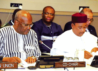 Commission climat pour la région du Sahel: Mobiliser les partenaires autour du plan d’investissement