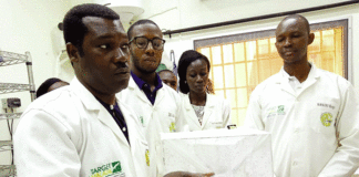 Lâcher de moustiques génétiquement modifiés à Bana : La recherche du «remède» au paludisme oppose les avis