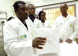 Lâcher de moustiques génétiquement modifiés à Bana : La recherche du «remède» au paludisme oppose les avis