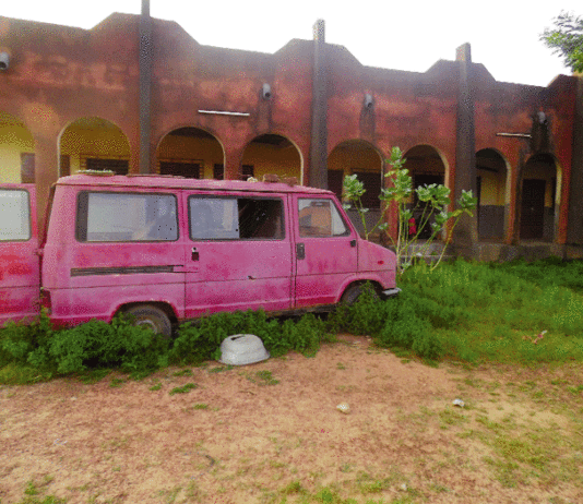 Ecole artistique Wamdé : Le cri du cœur de Moussognouma Kouyaté